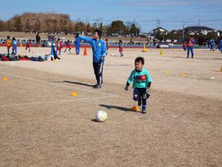 img122fd3543_1