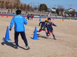 img122fd3934_1