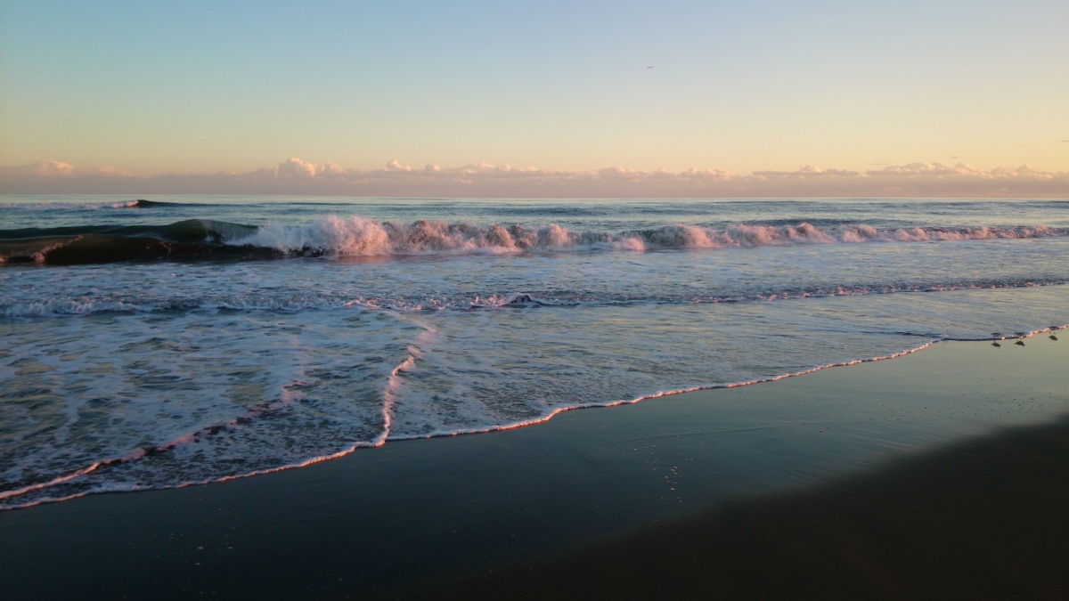 img1419l4051_1