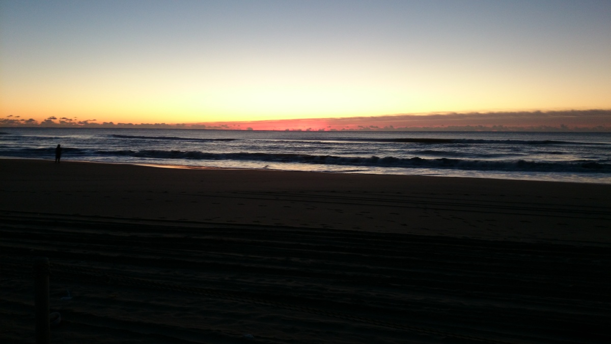 img1419l4549_1