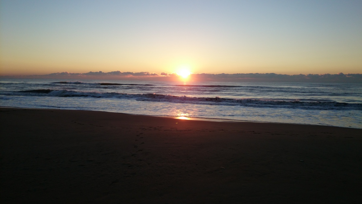 img1419l4629_1