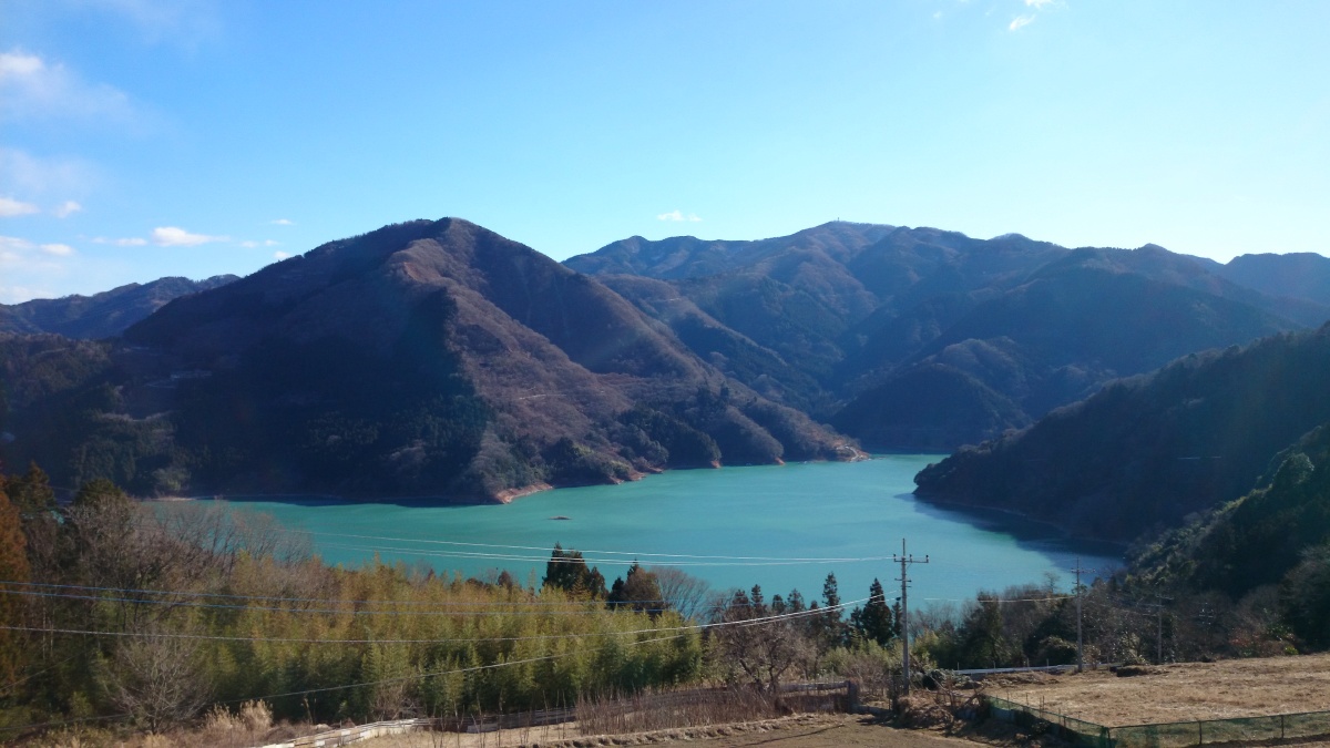img142ef1944_1